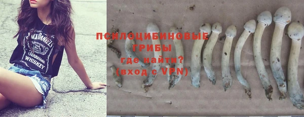 эйфоретик Шадринск